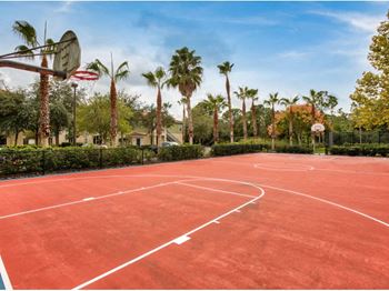 Basketball court